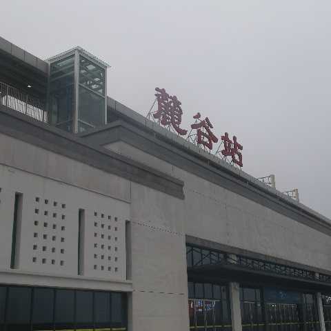 靜態(tài)標識設(shè)計案例:麓谷站
